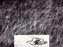 13_Krottenthaler_Kopfkissenperspektiven